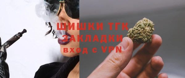 гашик Балахна