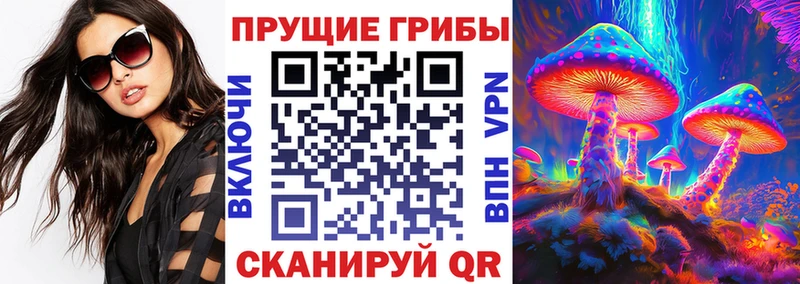 Галлюциногенные грибы Cubensis  где найти   Саратов 